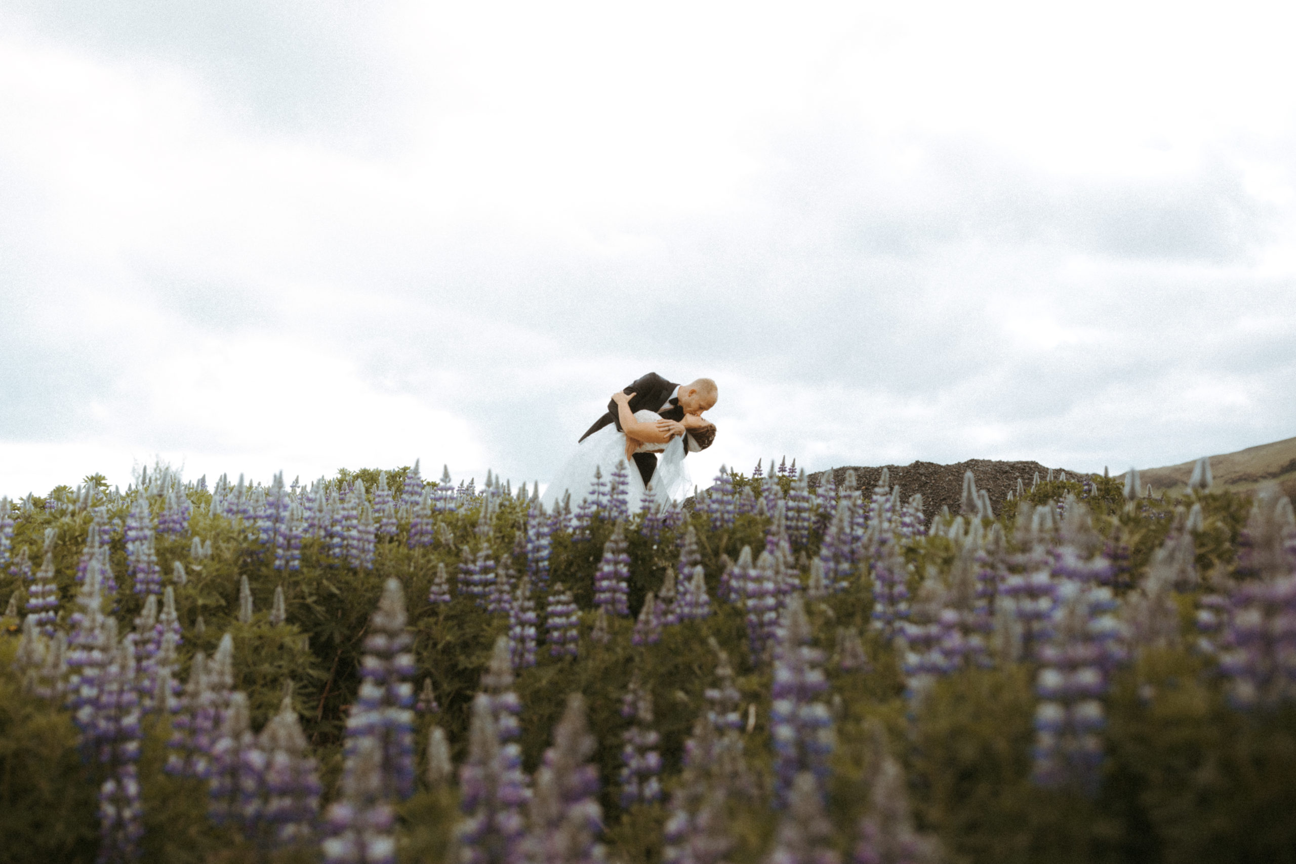 bride and groom kissing in purple lupine field during a summer Iceland wedding. 