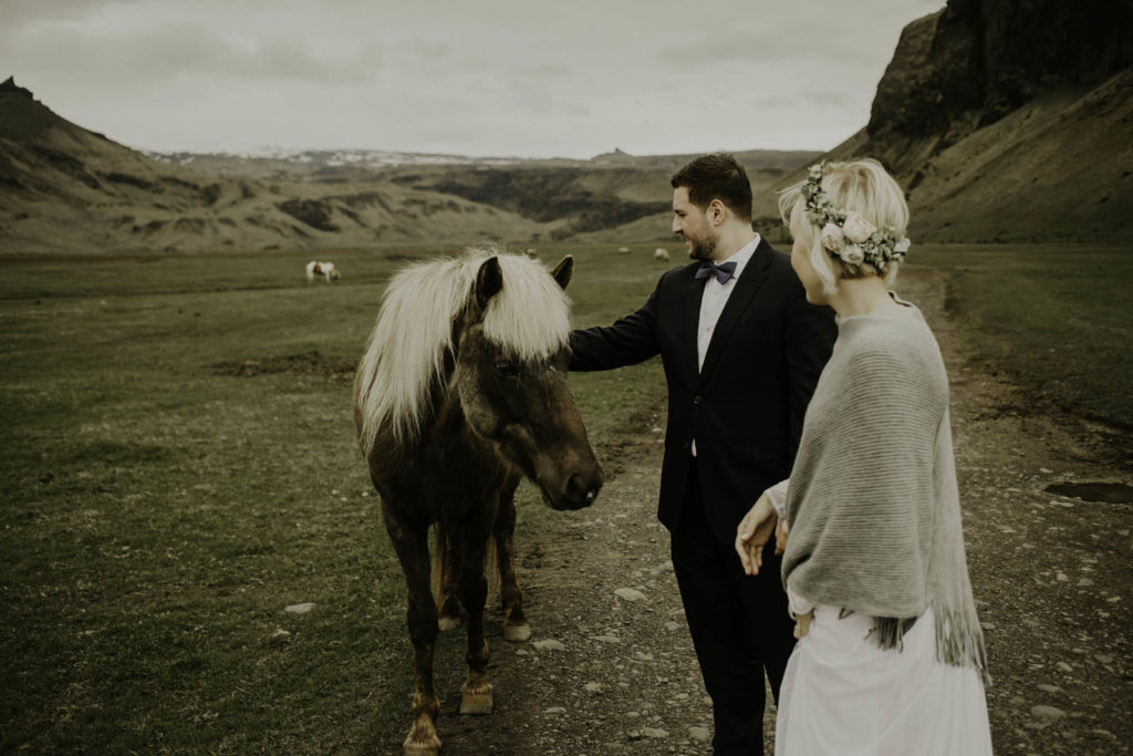 elopement bride and groom petting local Icelandic horses.
