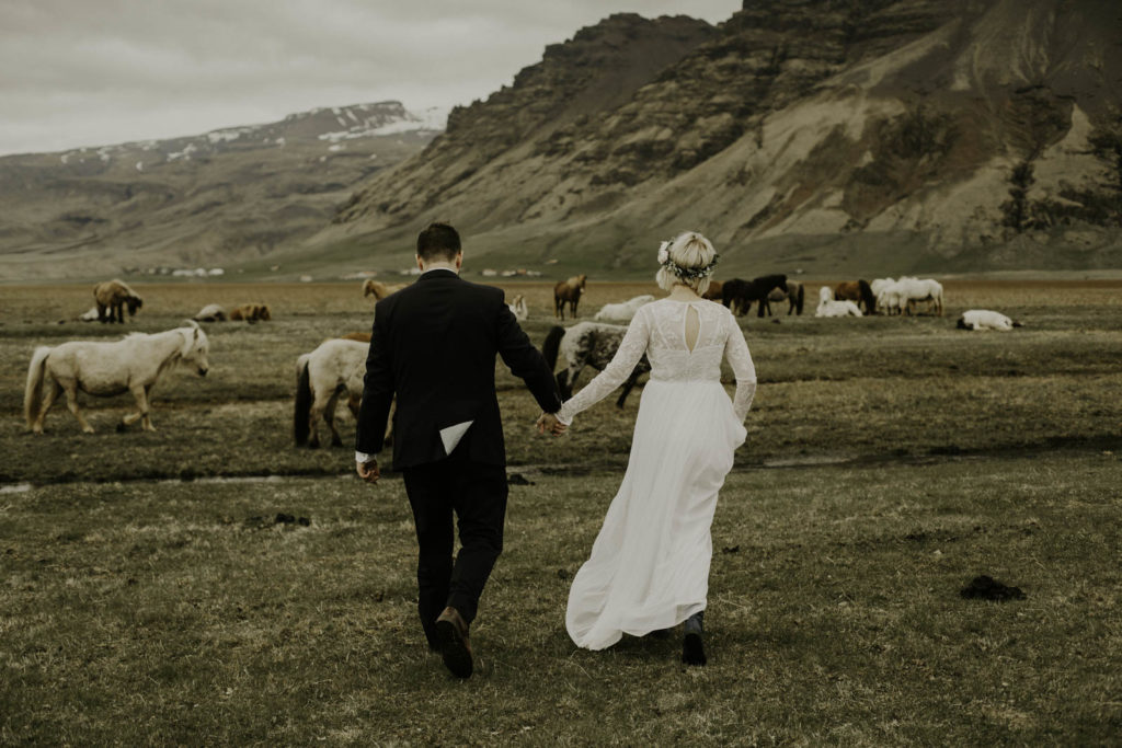 bride and groom walking through field with Icelandic horses