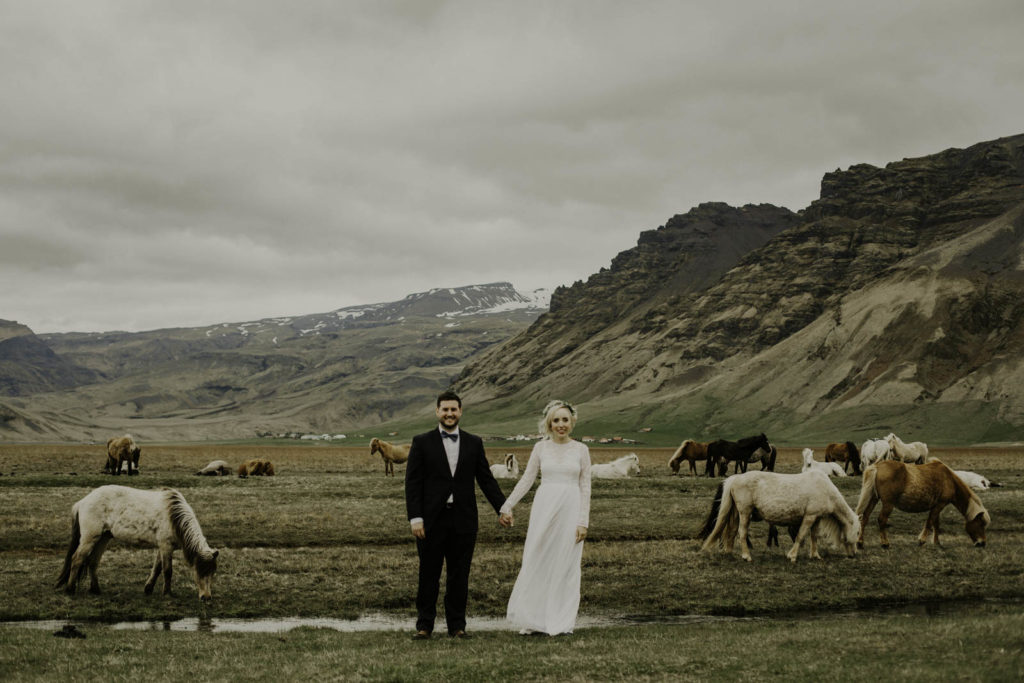 bride and groom surrounded by mountains in a field with Icelandic horses