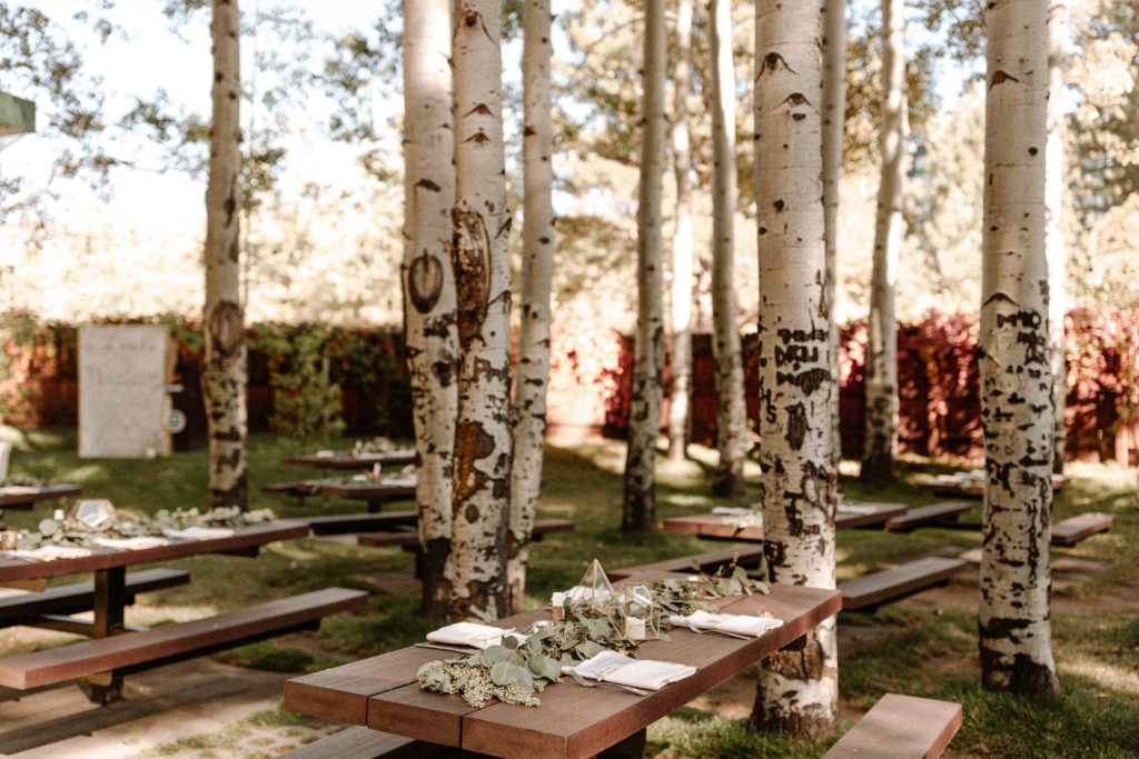 Lake tahoe wedding decor, Lake tahoe wedding planner, Wedding florals, wedding design, event design. 