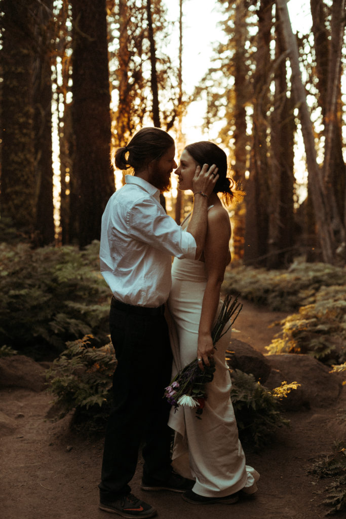 Yosemite-Elopement-packages-national-park-elopement-yosemite-elopement-photographer-taft-point-elopement-california-wedding-photographer-bride-hike-forest-ferns