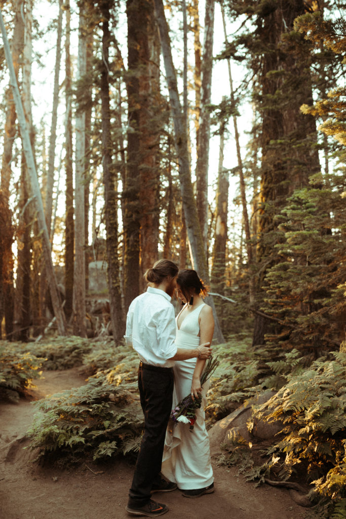 Yosemite-Elopement-packages-national-park-elopement-yosemite-elopement-photographer-taft-point-elopement-california-wedding-photographer-ferns