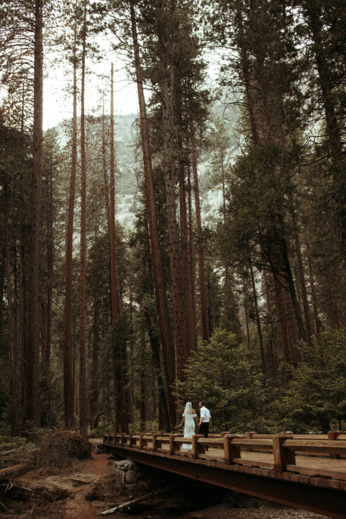 Yosemite-Elopement-packages-national-park-elopement-yosemite-elopement-photographer-taft-point-elopement-california-wedding-photographer