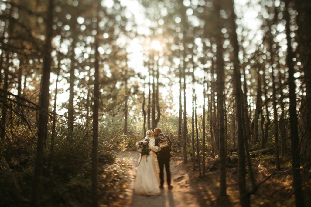 Bride and groom kissing in woods during sunrise in national park forest.